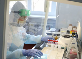 За сутки в России выявлено 8817 случаев коронавируса