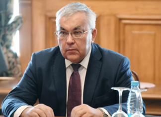 Замглавы МИД России провёл встречу с главой ВОЗ