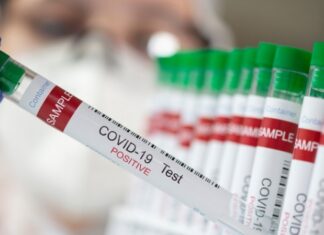 Число случаев коронавируса в Бразилии достигло 14 659 011