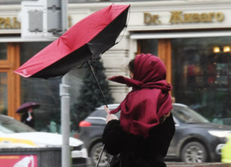 МЧС предупредило о сильном ветре в Москве