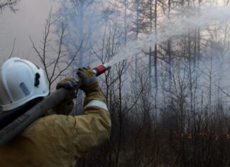 В России за сутки потушили 132 лесных пожара