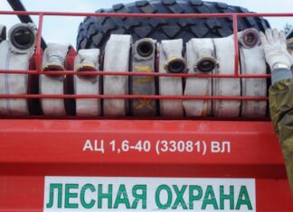 В России за сутки потушили 77 лесных пожаров