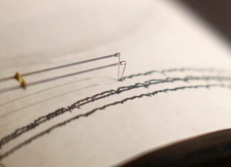 Землетрясение магнитудой 4,7 произошло у берегов Камчатки