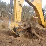 Корчевание пней компанией «Лесоруб 7»