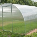 Преимущества теплиц из поликарбоната