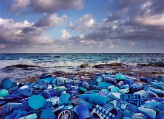 Проблемы загрязнения мирового океана