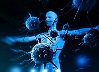 Корановирус COVID-19 — пандемия 21 века