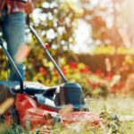 Как выбрать хорошую садовую технику и генераторы в Диам Алмаз