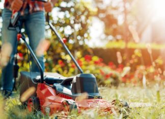 Как выбрать хорошую садовую технику и генераторы в Диам Алмаз