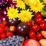 Семена для успеха: руководство по выбору семян цветов и овощей для вашего сада