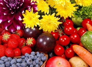 Семена для успеха: руководство по выбору семян цветов и овощей для вашего сада