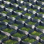 Устойчивость к разрушениям: Как объемные георешетки обеспечивают долговечность сооружений