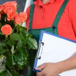 Удобство доставки цветов: цветущая радость у порога вашего дома