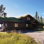 Одноэтажные дома из бруса: особенности и преимущества