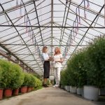 Промышленные теплицы: инновационное решение для фермерских хозяйств