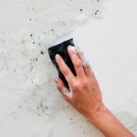 Как избавиться от плесени на стенах в квартире своими руками навсегда