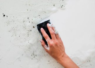 Как избавиться от плесени на стенах в квартире своими руками навсегда