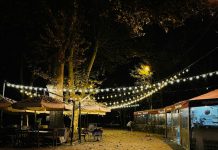 Парковые светильники: как создать уют и безопасность в вашем саду