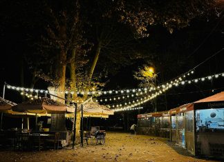 Парковые светильники: как создать уют и безопасность в вашем саду