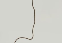 Аренда виртуального номера телефона: зачем и как это работает