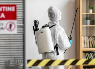 Как избавиться от мух в помещении: эффективные методы обработки