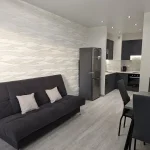 Бытовая техника в 1,5 раза повышает арендную ставку на жилье — эксперты