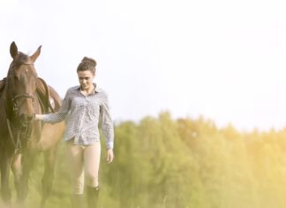 Два туристических инвестпроекта реализуют в селе под Тюменью