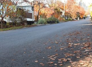 Мэр Сергей Петрин: «Более 50 улиц частного сектора Воронежа заасфальтировали в 2025 году»