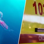 «Мы молились день и ночь»: бабушка погибшего от отравления ядом медузы в Малайзии мальчика рассказала о трагедии