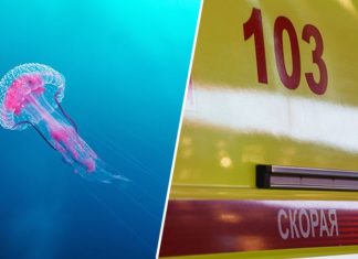 «Мы молились день и ночь»: бабушка погибшего от отравления ядом медузы в Малайзии мальчика рассказала о трагедии