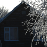 Специалист Коршунов рассказал о нюансах строительства загородного дома зимой