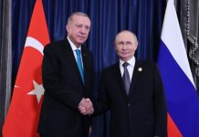 Украина, план США и двусторонние отношения: что обсудили Путин и Эрдоган в ходе телефонного разговора