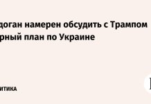Эрдоган намерен обсудить с Трампом мирный план по Украине