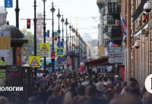 F6: в 2025 году в публичный доступ попали более 760 млн строк с данными россиян