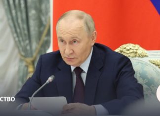 Член СПЧ передала Владимиру Путину список на помилование к Новому году