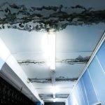 Бастрыкин поручил ускорить следствие по делу о текущей в пермской школе кровле