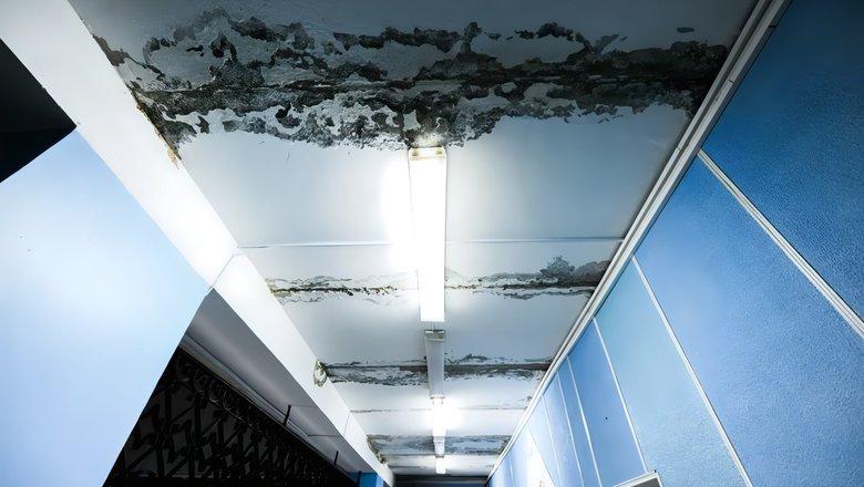 Бастрыкин поручил ускорить следствие по делу о текущей в пермской школе кровле