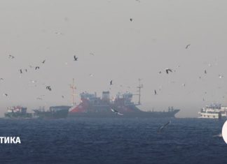 У берегов Турции атакован танкер Midvolga 2 с растительным маслом