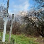 Компании Качановича разрешили вырубить 393 дерева для строительства гостиничного комплекса в Светлогорске