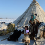 На Ямале стандартизировали материалы для строительства чумов для КМНС