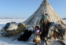 На Ямале стандартизировали материалы для строительства чумов для КМНС