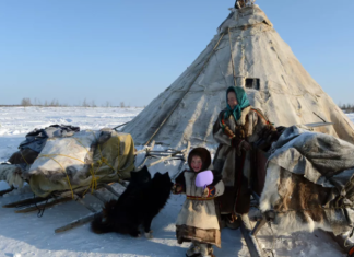 На Ямале стандартизировали материалы для строительства чумов для КМНС
