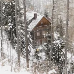 Названы регионы с подешевевшей краткосрочной арендой