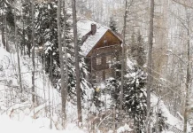 Названы регионы с подешевевшей краткосрочной арендой