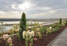 Новую очередь набережной Тольятти откроют в мае 2026 года