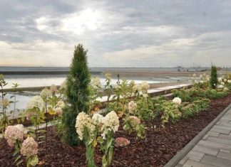 Новую очередь набережной Тольятти откроют в мае 2026 года