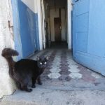 Почти 9 тысяч кв. метров аварийного жилья расселили в Нижнем Новгороде за год