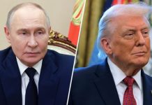 «Придерживаются аналогичных взглядов»: Путин и Трамп провели телефонный разговор