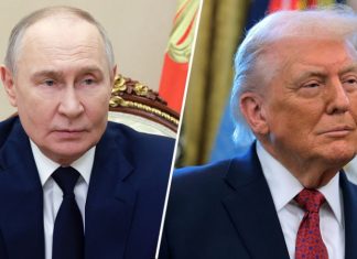 «Придерживаются аналогичных взглядов»: Путин и Трамп провели телефонный разговор