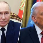 «Придерживаются аналогичных взглядов»: Путин и Трамп провели телефонный разговор